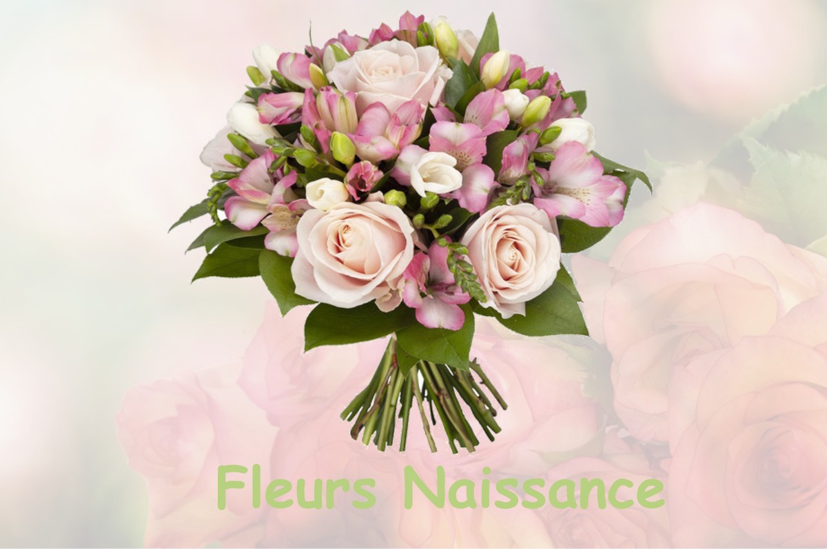 fleurs naissance SAINT-GEORGES-DE-COMMIERS