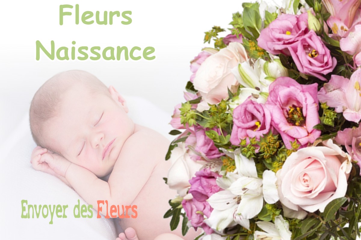 lIVRAISON FLEURS NAISSANCE à SAINT-GEORGES-DE-COMMIERS